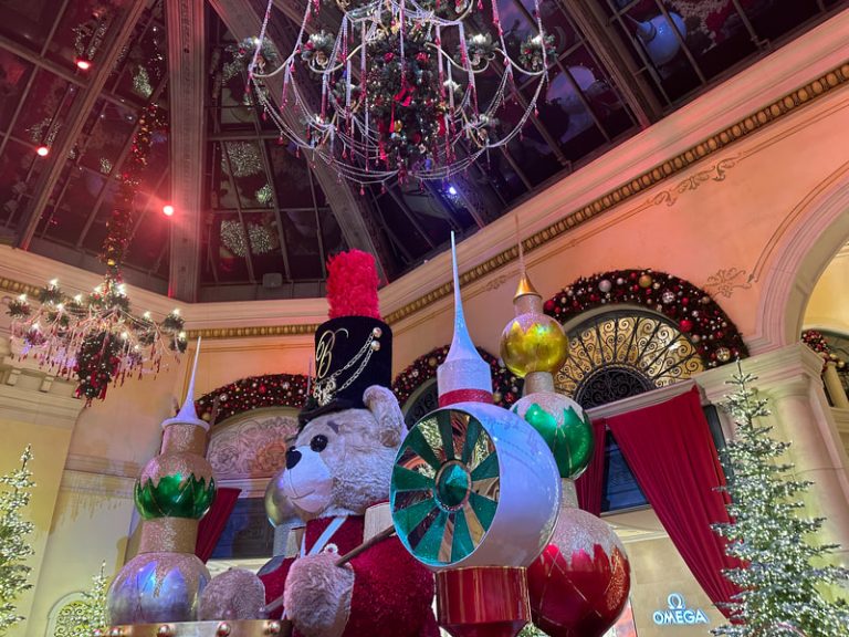 Read more about the article Are the Relatives Coming for the Holidays? Tips to cope with getting ready! By Marla Stone, Owner of The Clutter Remedy